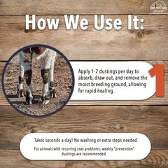 Four Oaks Goat Hoof & Coat Powder aids skin and coat health without harsh additives.