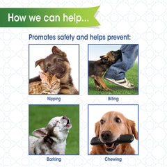 Four Paws Walk-About washable-nylon image suggests easy cleaning after outdoor use.