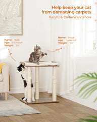 FourFurPets cat tree large platform rest showing plush cushion area