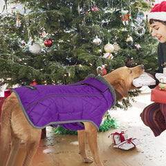 Fragralley dog coat back view highlights full coverage and secure fit for active dogs.