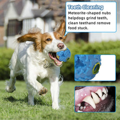FREIOWEEI dog ball-teeth-cleaning-bumps helps clean teeth during chew