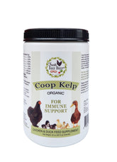 Fresh Eggs Daily coop kelp feed supplement bottle for easy, measured feeding.