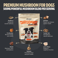 FreshCap Mushrooms Shroomies Lion's Mane dog treats close-up for calm focus