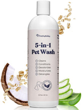 Freshly Bailey 5in1 bottle front demonstrates an easy all-in-one wash for sensitive skin.