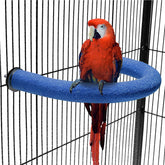 FrgKbTm parrot-perch rough-sand surface promotes natural foot exercise and safe chewing
