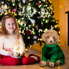 Frienda easy-to-wear dog pajamas for quick fuss-free changes