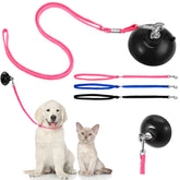 Frienda dog bathing tether with suction cup provides secure bath-time restraint.