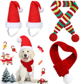Frienda dog Christmas hat pom-pom close-up for festive photos