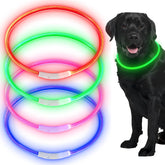 Frienda LED dog collar blue front view shows bright visibility for night walks