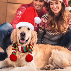 Frienda striped scarf for pets bright pattern to elevate holiday outfits