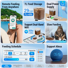 Frienhund cat feeder two bowls offset, reducing feeding conflicts during meals