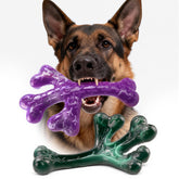 Frienhund juguete-perro-duro-hueso: ideal para morder y entretener durante horas.