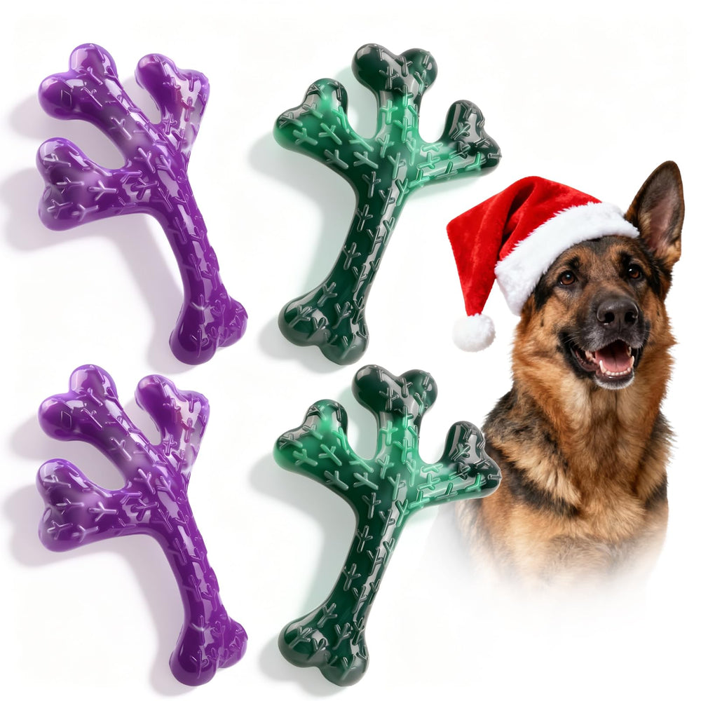 Frienhund tough nylon chew bone with beef flavor for aggressive chewers.