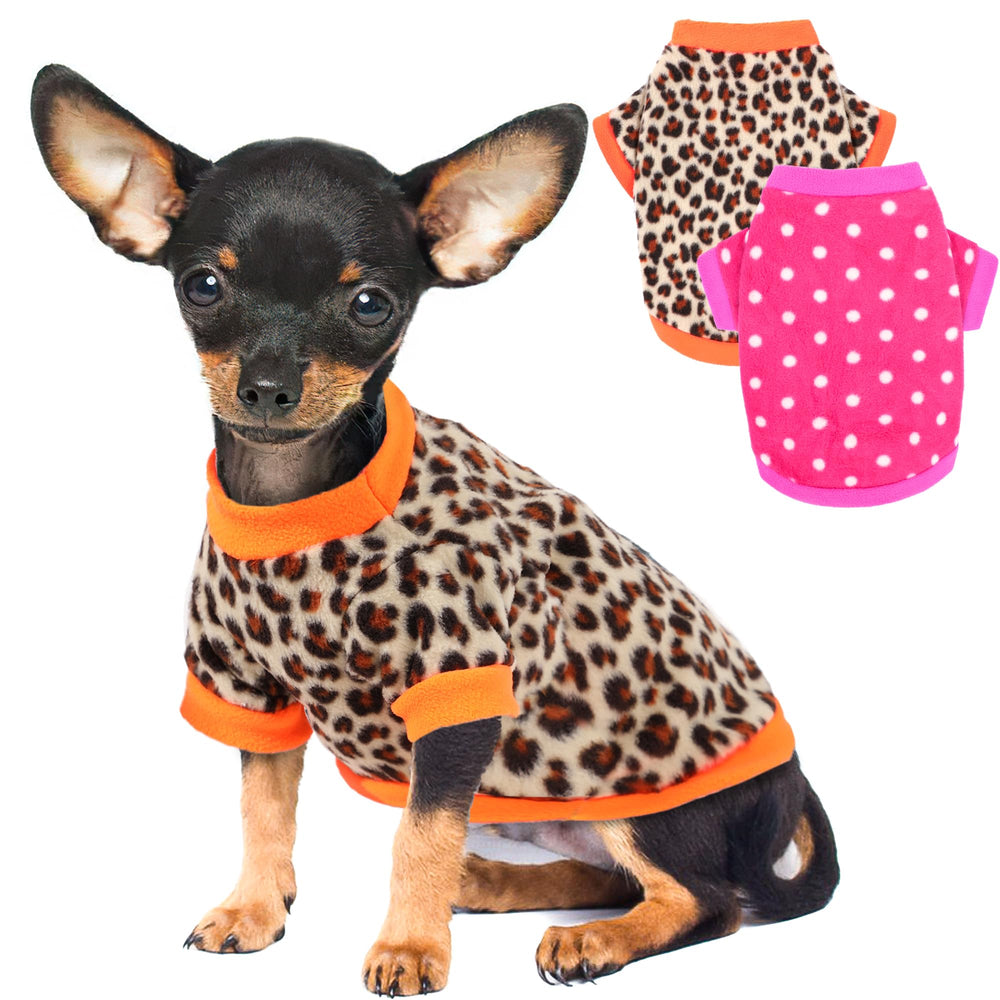 Friofmuy 2-piece dog sweaters in blue dinosaur and stars on a small dog for chilly walks