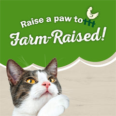 Friskies Cat Mealtime Joy serving bowl demonstrates appealing daily meal.