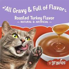 Friskies Lil' Gravies Roasted Turkey Flavor close-up shows savory aroma appealing to cats