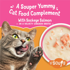 Friskies Lil' Soups velvety chicken broth closeup highlights silky texture