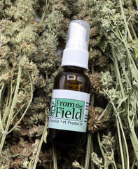 From The Field catnip spray on toy in use for enhanced play sessions.