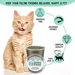 From The Field catnip texture closeup highlights velvety leaves and potent essential oils