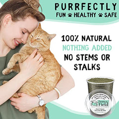 From The Field Fine Ground Stalkless Catnip in toy-fill setup shows easy toy integration.