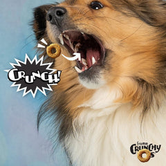 Fromm Crunchy Os Bacon Blasters closeup reveals irresistible crunchy texture dogs crave.