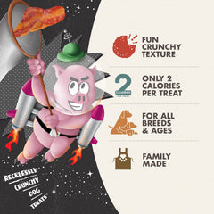 Fromm Crunchy Os Bacon Blasters serving bowl demonstrates easy reward during training sessions.