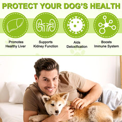 FSLHCY liver-support visual emphasizes balance and vitality for dogs.