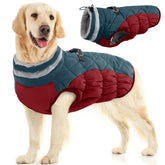 FUAMEY dog coat front view shows warm, cozy protection for cold walks.