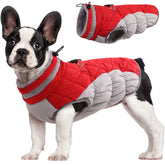 FUAMEY dog coat front view keeps medium dogs warm on walks