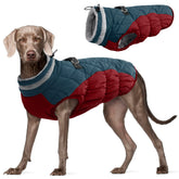 FUAMEY dog coat front view shows waterproof winter warmth.