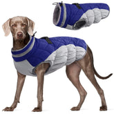 FUAMEY dog coat large blue front view keeps your pup warm during chilly walks.