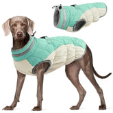 FUAMEY large mint green dog coat front view showing warmth and style