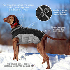 FUAMEY thick collar windproof design protects dog's neck