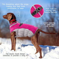 FUAMEY dog coat with reflective strip enhances nighttime visibility for safer strolls.