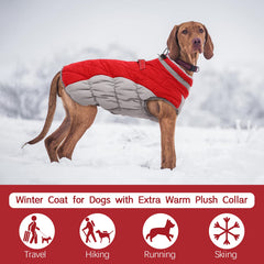 FUAMEY dog coat waterproof fabric keeps your pup dry in rain or snow.