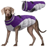 FUAMEY dog coat winter jacket back zipper enables easy on/off during hikes