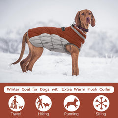 FUAMEY dog coat XL reflective strip enhances visibility during night walks