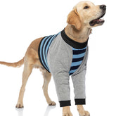 FUAMEY dog recovery sleeve with elbow protector and blue stripe supports joints during recovery.