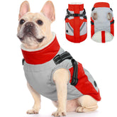 FUAMEY dog winter jacket front view provides warm coverage for chilly walks.