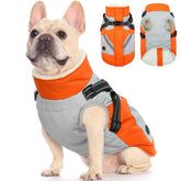 FUAMEY dog winter jacket back view shows waterproof exterior for rainy walks