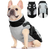 FUAMEY dog winter jacket waterproof exterior shields against rain for outdoor adventures.