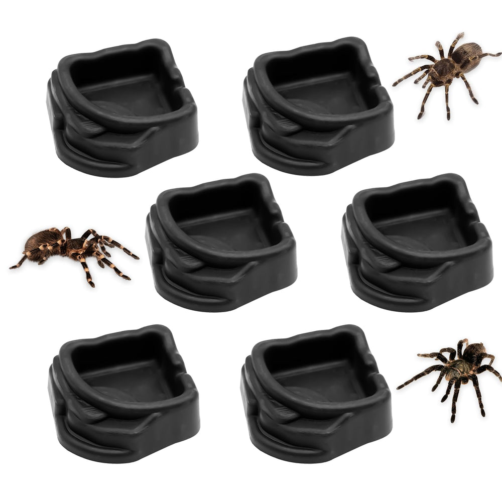 FUATY spider micro water bowls assembled in enclosure for compact storage.