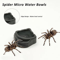 FUATY spider micro water bowls resin surface emphasizes non-porous durability.
