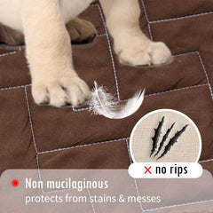 Fuguitex anti-slip cover protects furniture from slobber and scratches during play
