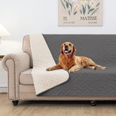 Fuguitex waterproof dog bed cover on sofa protects furniture from spills and dirt.