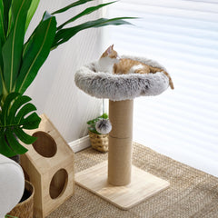 FUKUMARU cat donut bed perch offers plush lounging and window view.
