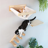 FUKUMARU cat wall shelves assembly shows sturdy mounting for safe sleeping and lounging.
