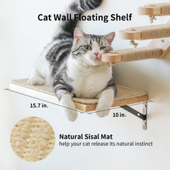 FUKUMARU cat wall shelves cat play and climb supports energetic exploration.
