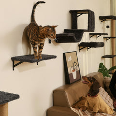 FUKUMARU wall shelves save space while giving cats vertical exploration options