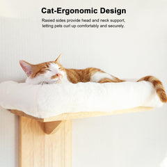 FUKUMARU cat wall shelves stable mount for 16 inch drywall ensures kitty safety during climbing